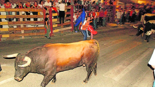 Imagen de un encierro en la localidad de Navalcarnero