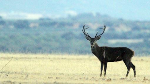 Cinco rutas naturales para conocer mejor Toledo