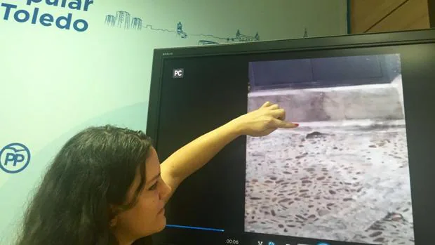 Cristina Peces, concejal del PP, mostró en un vídeo cómo las ratas «campan a sus anchas» por el Casco