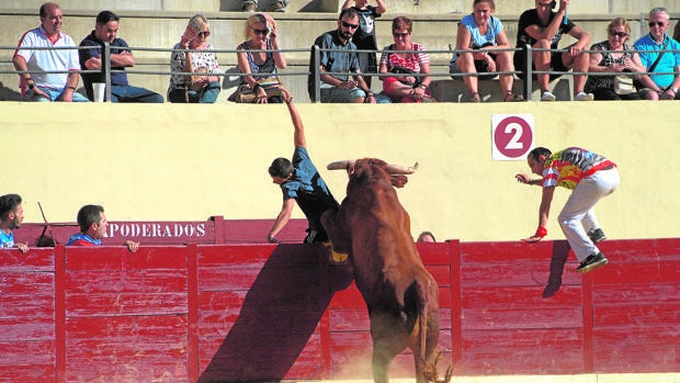 Alcalá abrirá expediente a Taurina Alcalaína por cancelar los encierros