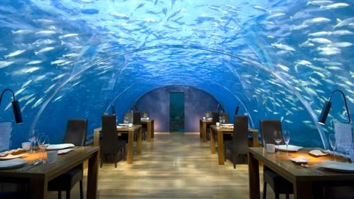 Imagen del restaurante del oceanográfic