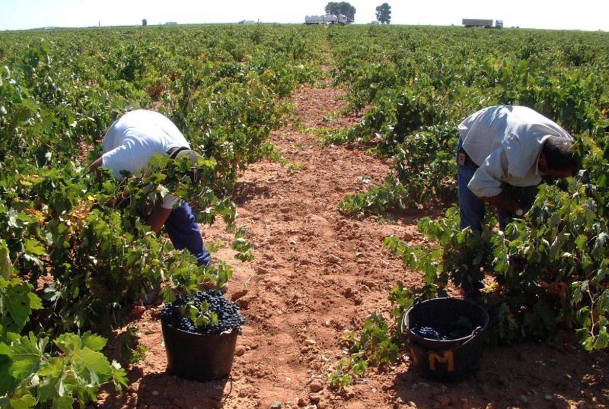 El paro bajó en agriculltura y en el colectivo sin empleo anterior