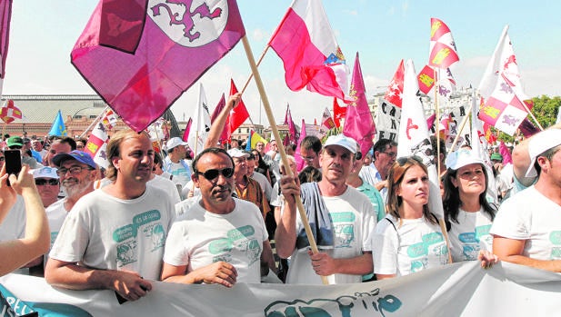 LLegada de los integrantes de la Marcha a Madrid el 4 de septiembre de 2015