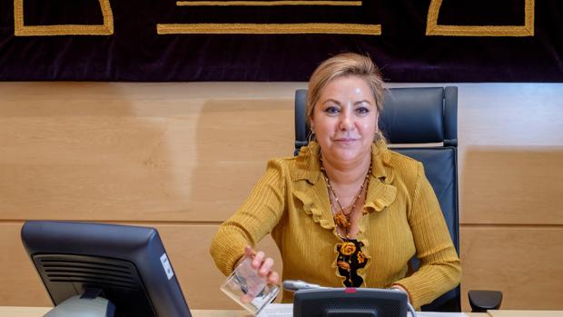 La vicepresidenta de Castilla y León, retenida por la Guardia Civil tras superar la tasa de alcoholemia