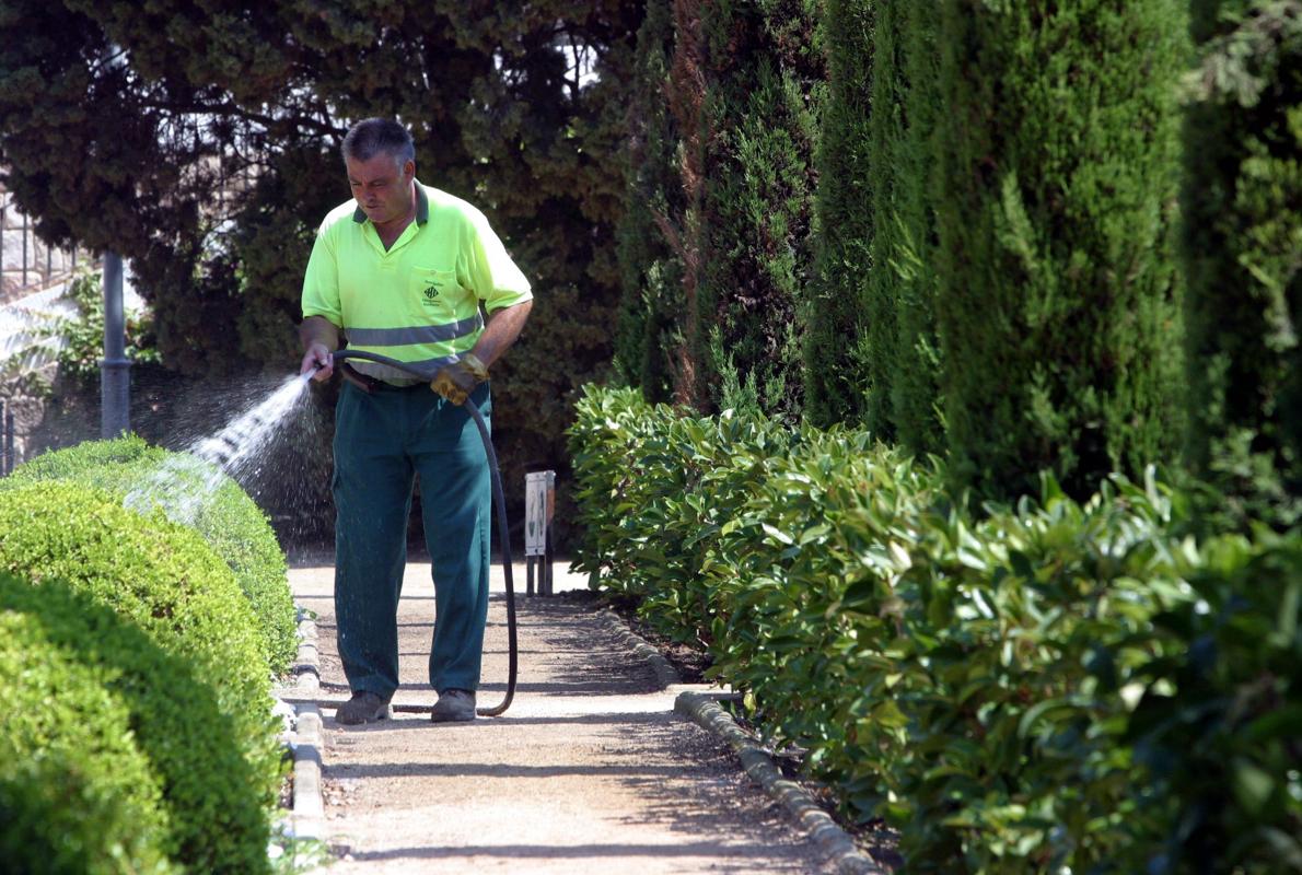 Jardinero regando un parque público