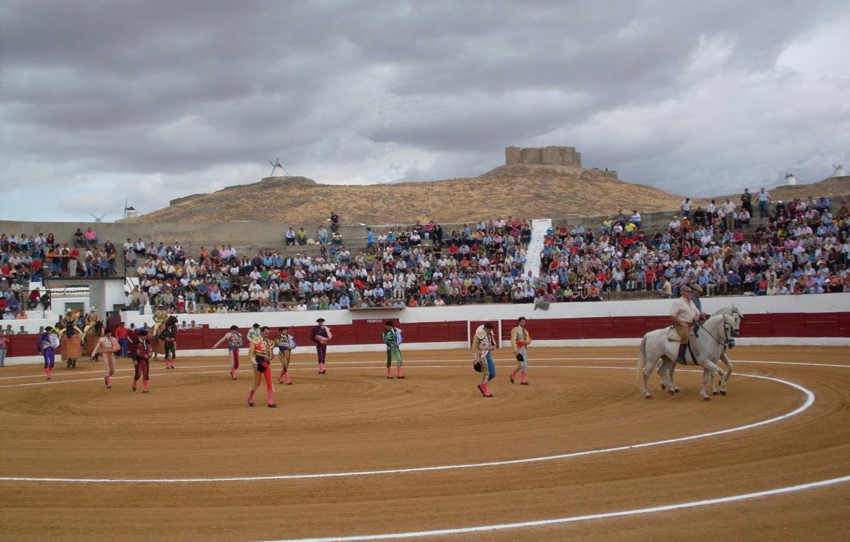 Vista general de la plaza de toros de Consuegra