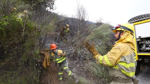 Los bomberos estuvieron durante toda la tarde intentando aplacar el fuego