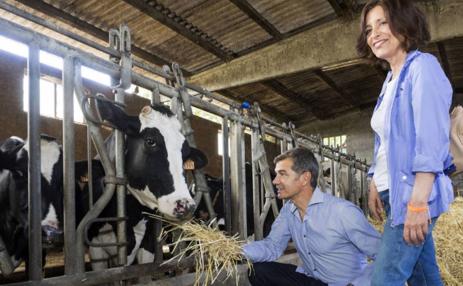 Toni Cantó alimentando vacas, banderas del revés en el bus de C&#039;s y otras anécdotas de la campaña en Galicia