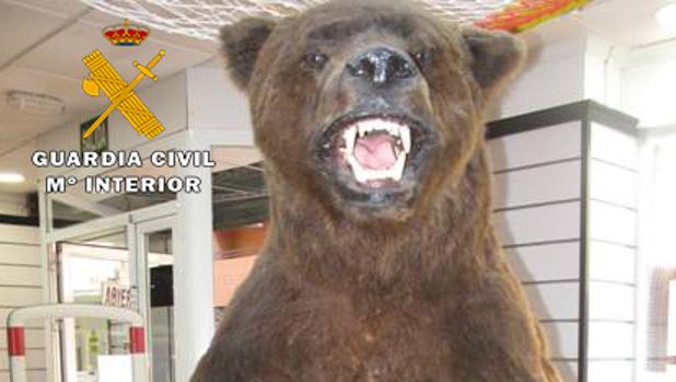 El ejemplar de oso pardo estaba expuesto en el escaparate de la tienda