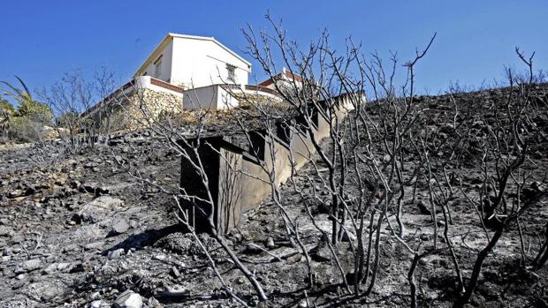 Unas colillas mal apagadas pudieron provocar el incendio que arrasó Jávea el pasado verano