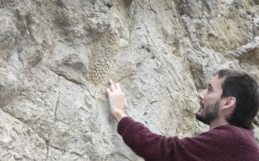 Encuentran calcada en una roca de Barcelona la piel de uno de los últimos dinosaurios del planeta