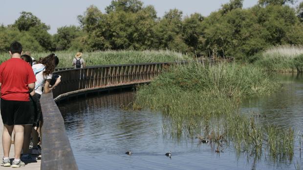 Parque Nacional de las Tablas de Daimiel