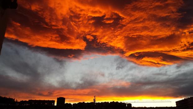 Los canarios esperan ya el resurgir verde de su campo tras las lluvias