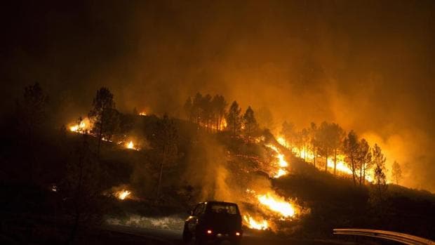 Uno de los incendios más virulentos de este 2016 aconteció en Entrimo (Orense)