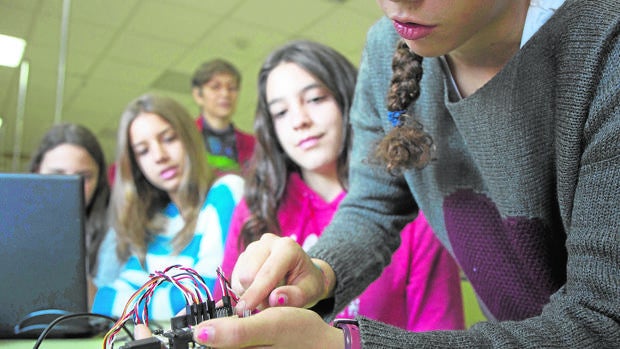 «Expertos» programadores de 15 años