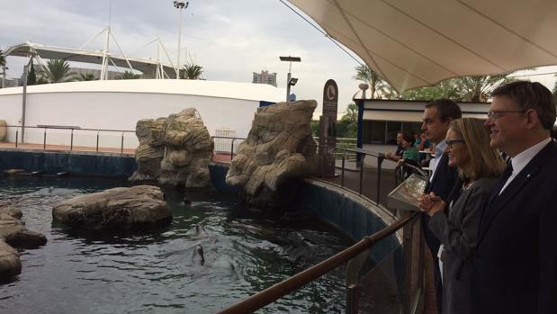 Zapatero y Puig, ayer en su visita al Oceanogràfic de Valencia