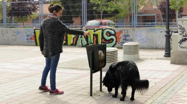 Una dueña tira la caca de su perro a una papelera