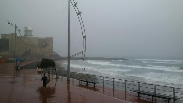 Las lluvias traen a Canarias el amable petricor