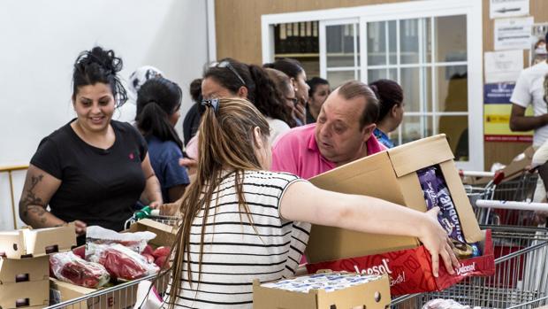 Imatge d'arxiu d'una recollida solidària d'aliments del Banc d'Aliments de València