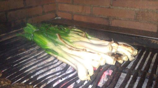 «Calçots» de temporada en Can Punyetes