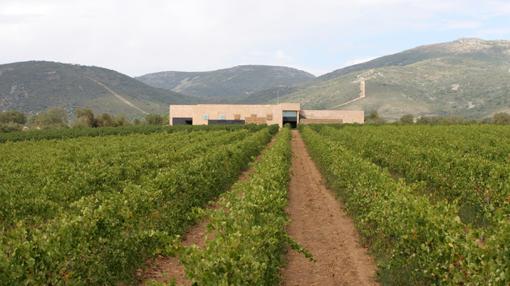 Pago de Vallegarcía celebra diez años de buenos vinos