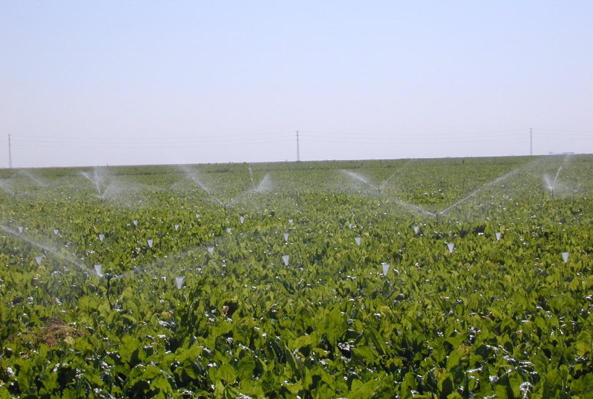 La garantía de los regadíos sigue siendo una de as más importantes bazas para los futuross agricultores