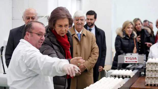 La Reina Sofía, en su visita al Banco de Alimentos de Salamanca