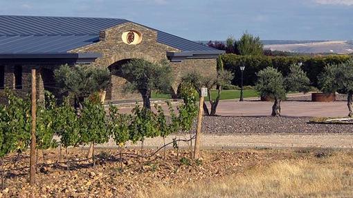 Entrada a la bodega Finca Río Negro, en Cogolludo