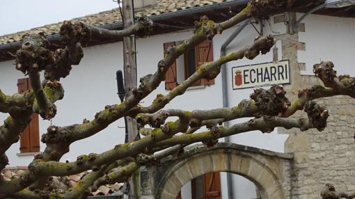 Echarri, el pueblo de los niños