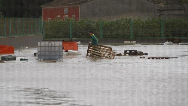 Un trabajador de una empresa hortofrutícola de Redován aislada por la lluvia retira palets