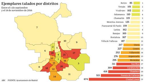 Carmena tala 5.000 árboles en menos de tres meses