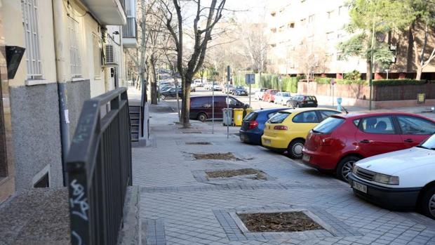 Cuatro alcorques vacíos, ayer, en una calle del distrito de Ciudad Lineal