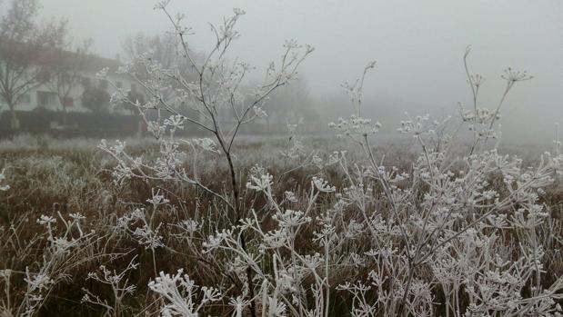 Molina de Aragón, registra la temperatura más baja del país con 11 grados bajo cero