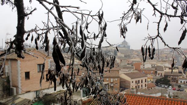 Todas las provincias, en alerta amarilla por bajas temperaturas