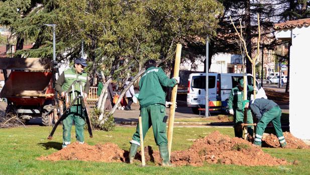 Operarios de Azuqueca durante la plantación de árboles