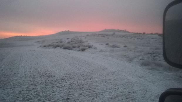 Así de blancos amanecían los campos este lunes en la localidad de Seseña, en Toledo