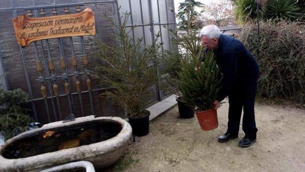 Un hombre entrega su abeto de Navidad en uno de los puntos de recogida de El Retiro