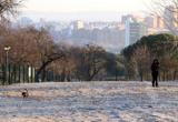 Jardines helados a primera hora de la mañana en Valladolid