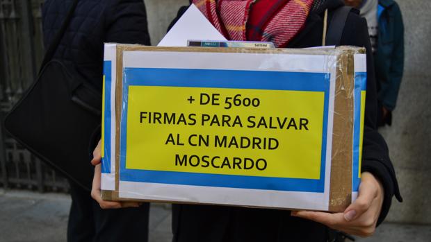 La caja en la que ayer presentaron 5.600 firmas en el Ayuntamiento