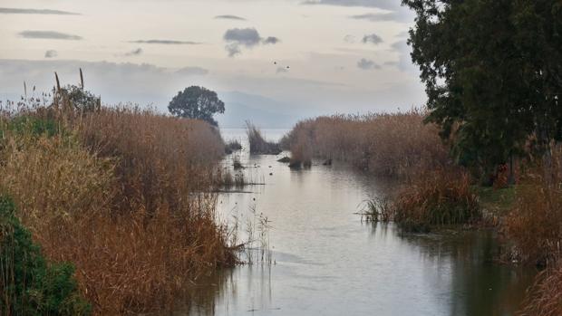 Imagen de la Albufera tomada este jueves