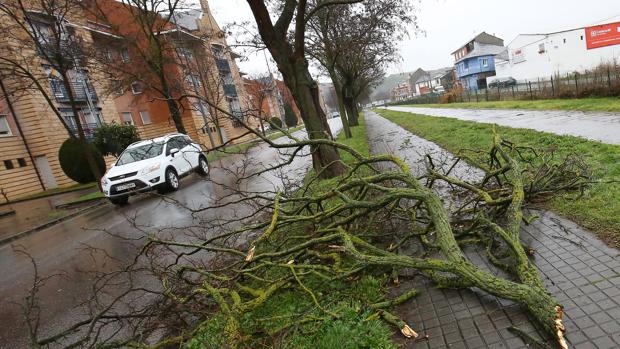 Efectos del temporal en Ponferrada (León)