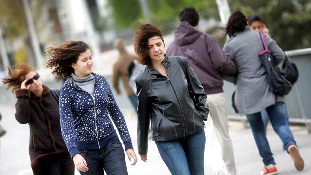 El viento se intensifica y llegará a los 100 kilómetros por hora este domingo en la Comunidad Valenciana