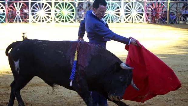 Ortega Cano, uno de las cinco figuras del toreo que intervendrá en el tentadero benéfico