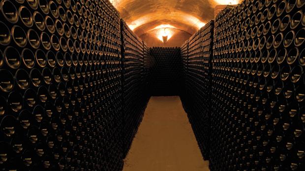 Bodegas de Alberto, un destino ideal para los amantes de buen vino