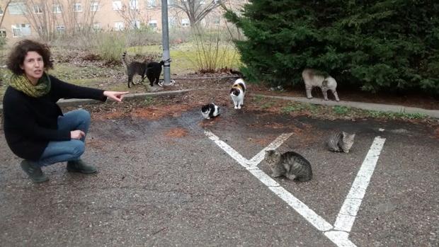 La profesora María Teresa Gómez Gutiérrez, una de las coordinadoras del proyecto, con los gatos en el centro