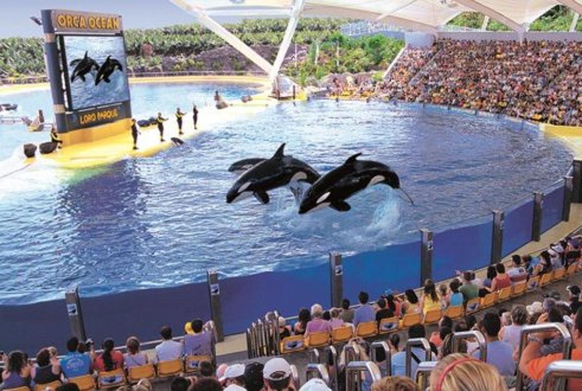 Cinco nuevos productos de Loro Parque en Canarias