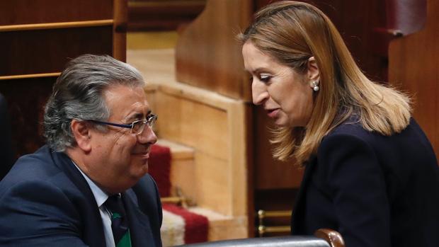 Zoido y Pastor, en el Congreso de los Diputados