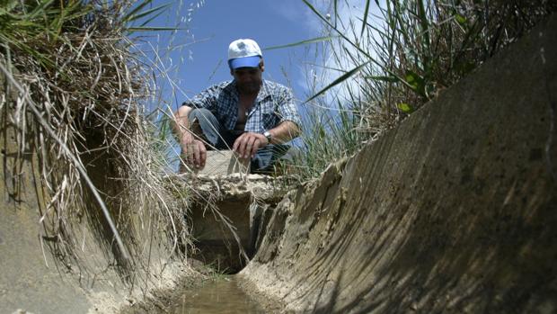 Desde el año 2012, Aragón ha perdido 7.000 agricultores y ganaderos, un sector que está también muy envejecido