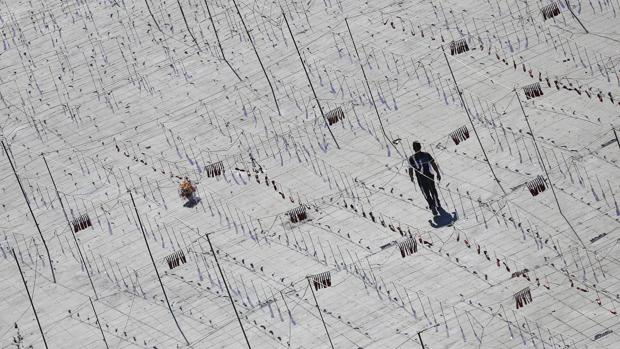 Más de mil disparos hacen temblar los cimientos de Valencia al ritmo de una impresionante mascletà