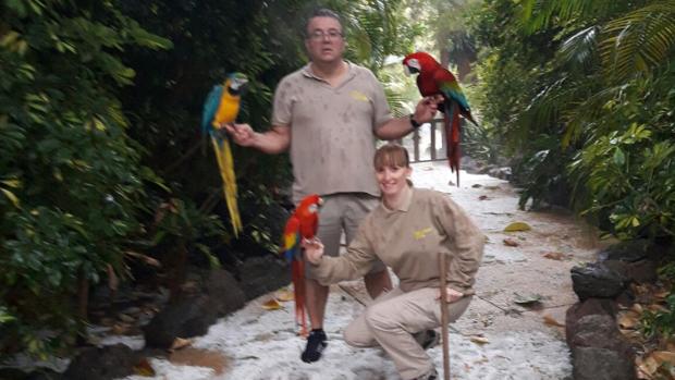 El granizo visita el complejo de Aspro Ocio en el sur de Gran Canaria, Palmitos Park